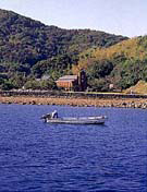 第３号 2004年8月