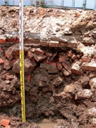 第5号 2005年10月