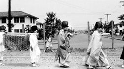 第８号 2007年1月