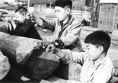 第８号 2007年1月