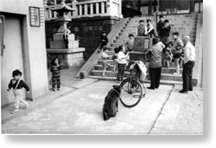 第９号 2007年10月