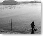 第９号 2007年10月