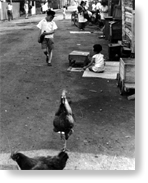 第９号 2007年10月