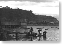 第９号 2007年10月