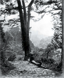 第１０号 2008年4月