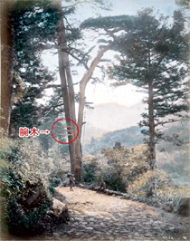 第１０号 2008年4月