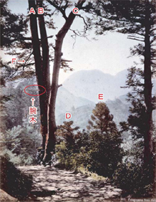 第１０号 2008年4月