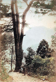 第１０号 2008年4月