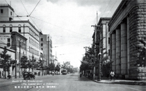 第１１号 2008年12月