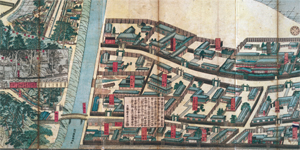 第１１号 2008年12月