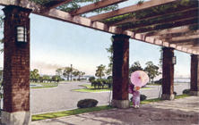 第１１号 2008年12月