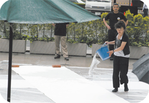 第１１号 2008年12月