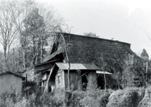 第１１号 2008年12月