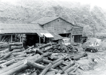 第１１号 2008年12月