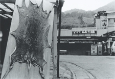 第１１号 2008年12月