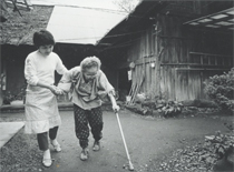 第１１号 2008年12月