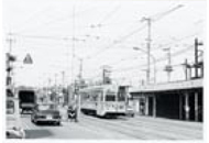 第１２号 2009年7月