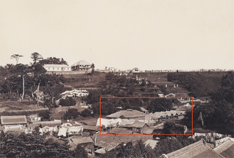 第１３号 2010年2月