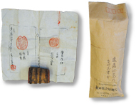 第１３号 2010年2月