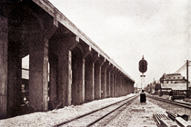 第１４号 2010年8月