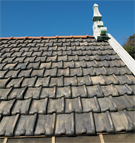 第１５号 2011年1月