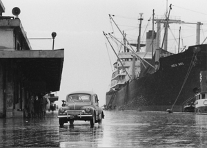 第１６号 2011年10月