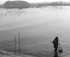 第17号 2012年5月