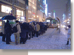 第１７号 2012年5月