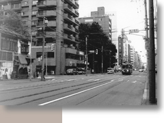 第１７号 2012年5月