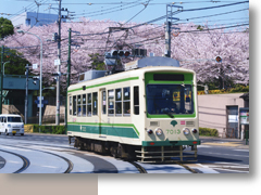 第１７号 2012年5月