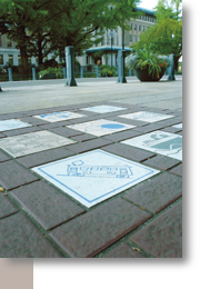 第１７号 2012年5月