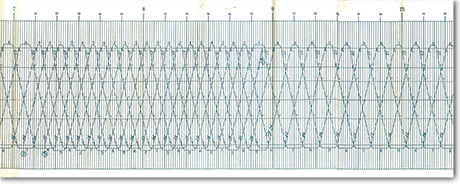第１８号 2012年12月