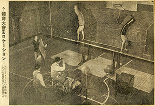 第１９号 2013年3月